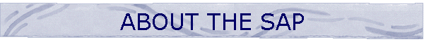 ABOUT THE SAP